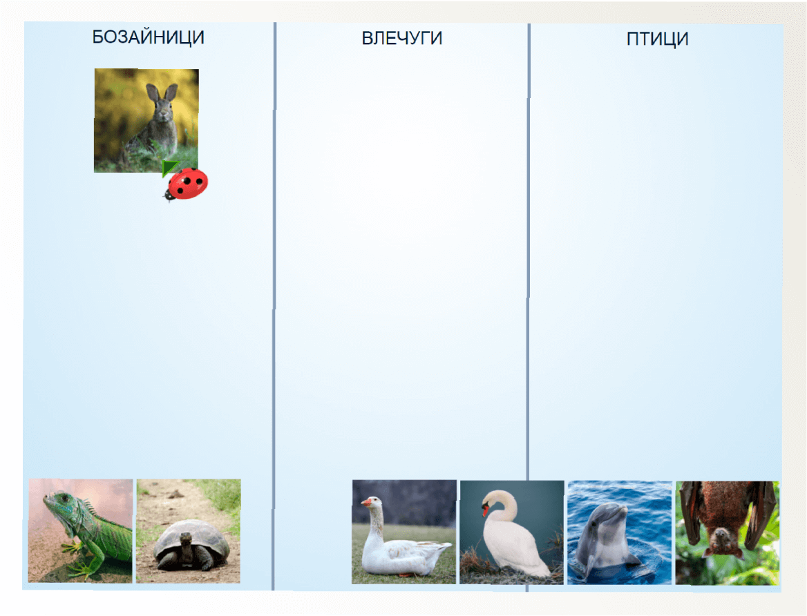 Групиране — преди